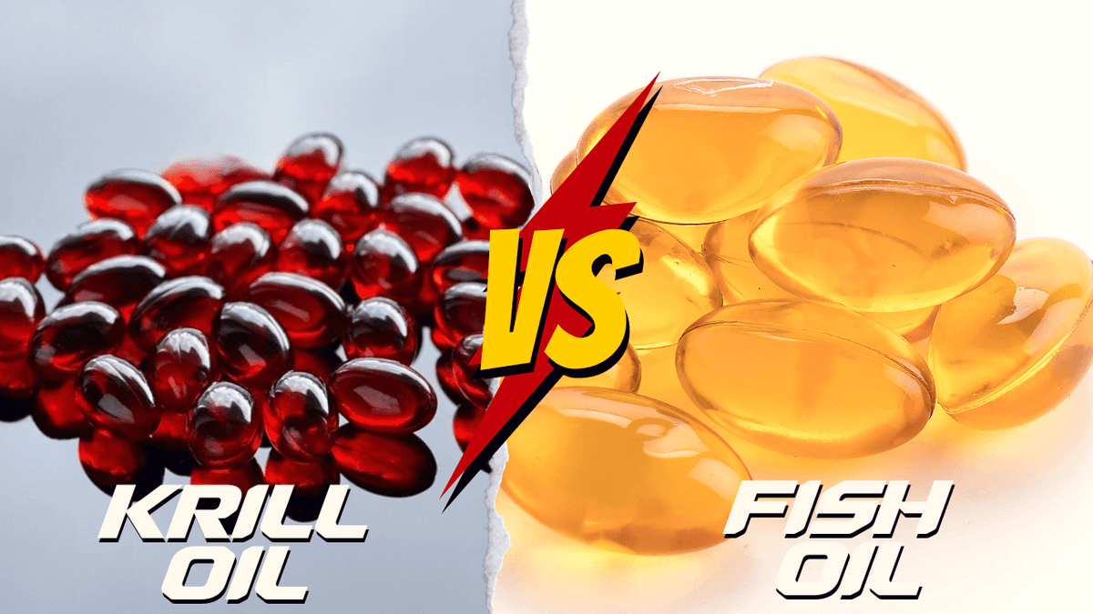 Fish Oil vs. Krill Oil Which One Should You Choose?