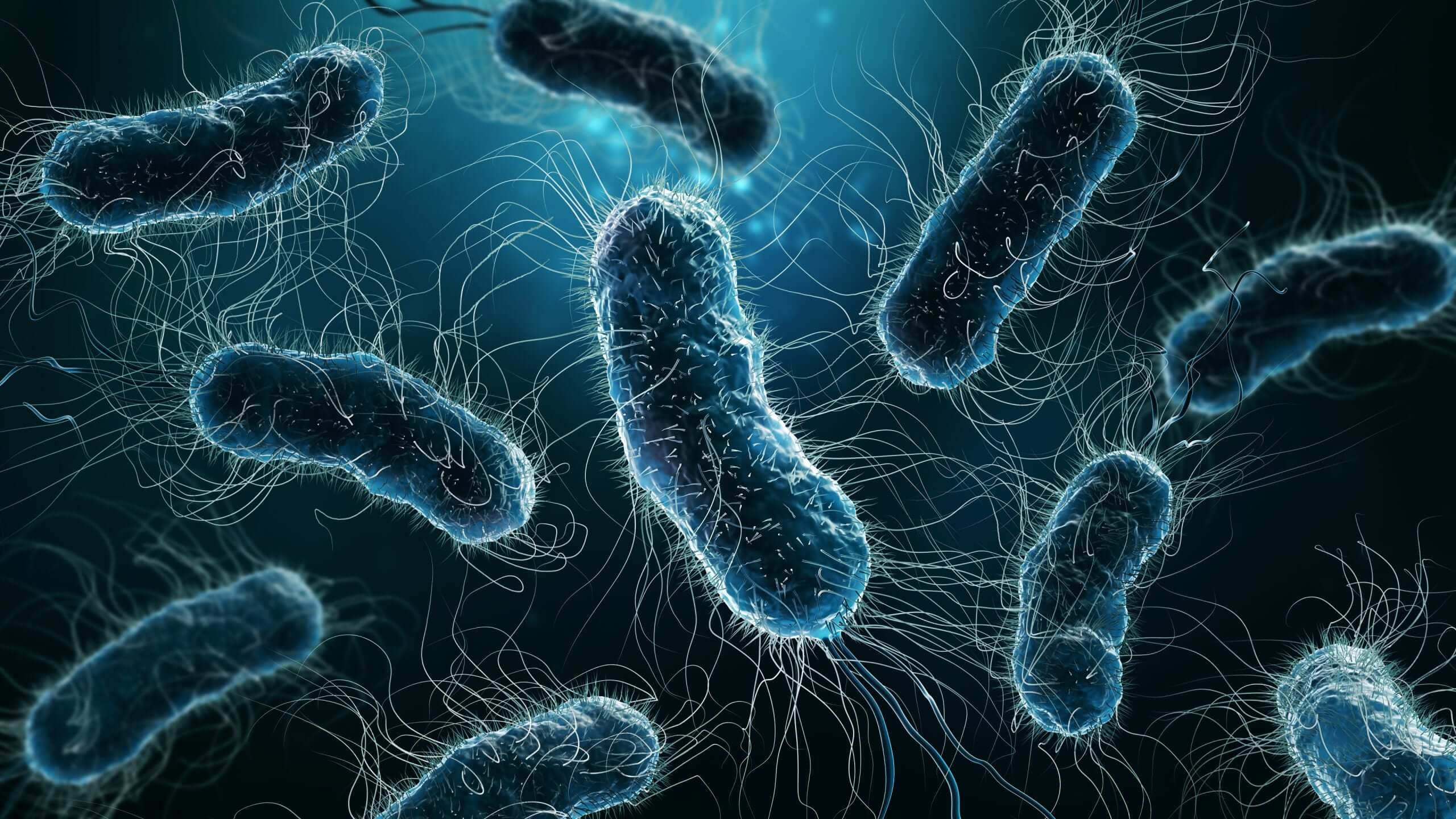 Unraveling the Mysteries of E. coli: A Journey Through Research