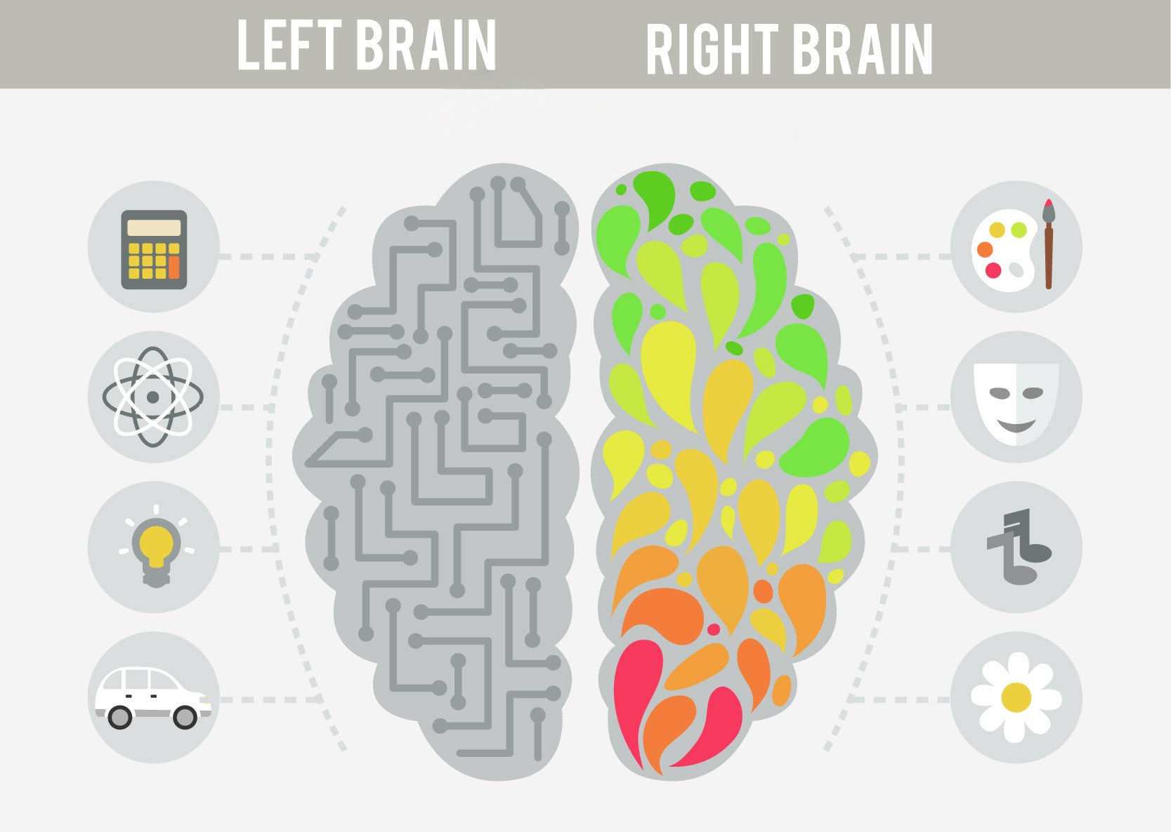 Can B12 and Folic Acid Really Boost Brain Health?