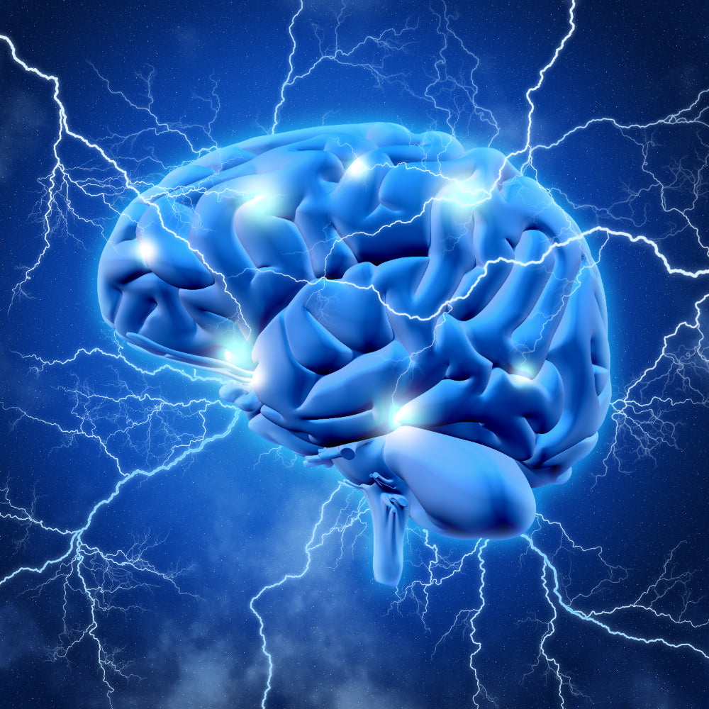 What Happens to Your Brain When You Take Probiotics for a Month? A Scientific Breakdown