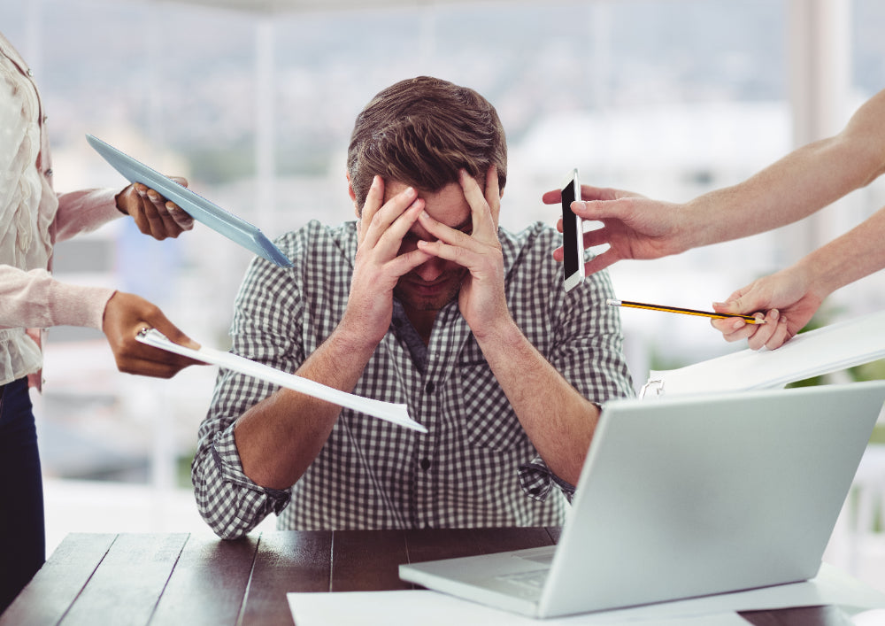 Can Moringa Really Help You Handle Stress Better? Let’s Test It for a Week