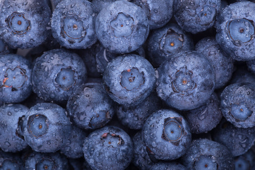 Bilberries vs. Blueberries: Which One Should You Choose for Better Health?
