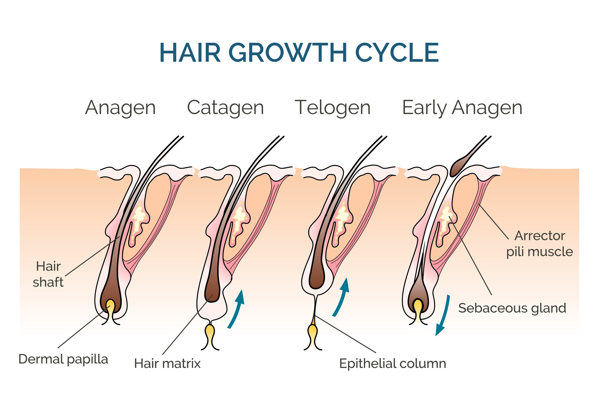 Hair Tonic with Anagain For Best Hair Growth