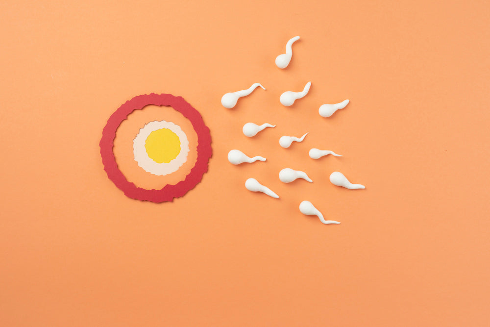 Common Causes of Low Sperm Count and How to Fix It