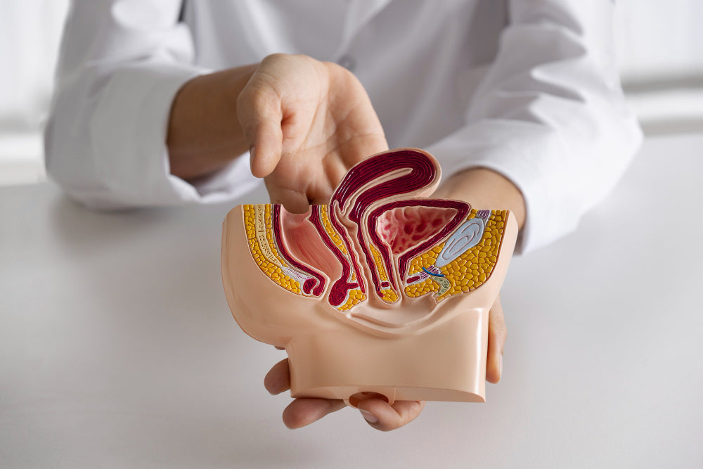 Can Reducing Cholesterol Help Slow the Spread of Bladder Cancer?