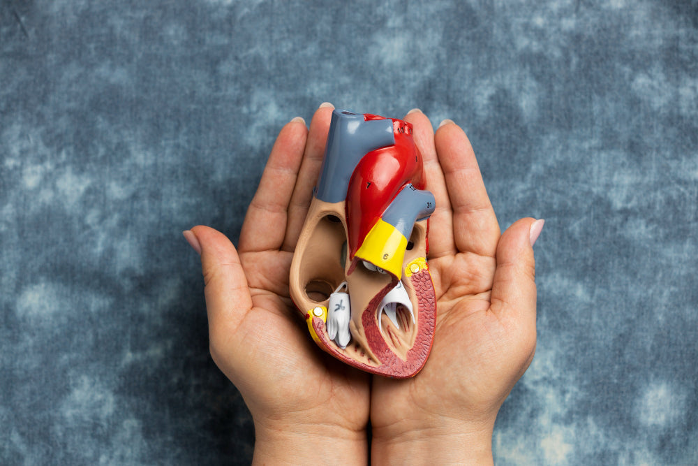 Can Fungal Lipase Help Reduce Cholesterol Levels?