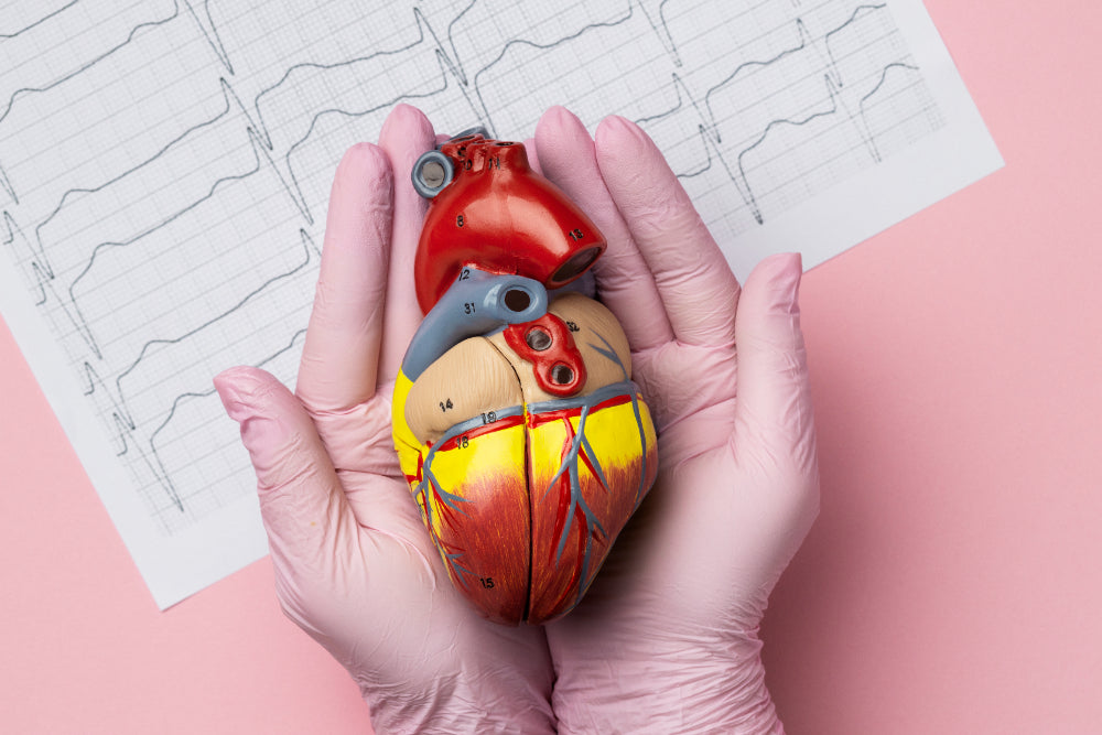 The Role of Omega 3 in Managing Cholesterol