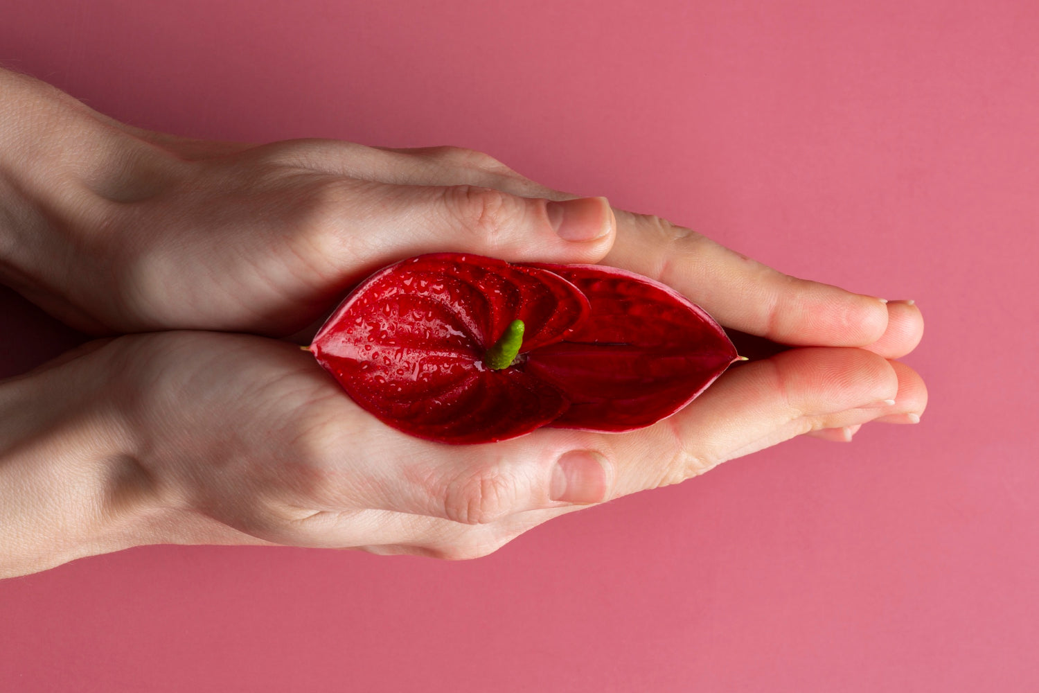 Vaginal pH Balance: Why It Matters More Than You Think
