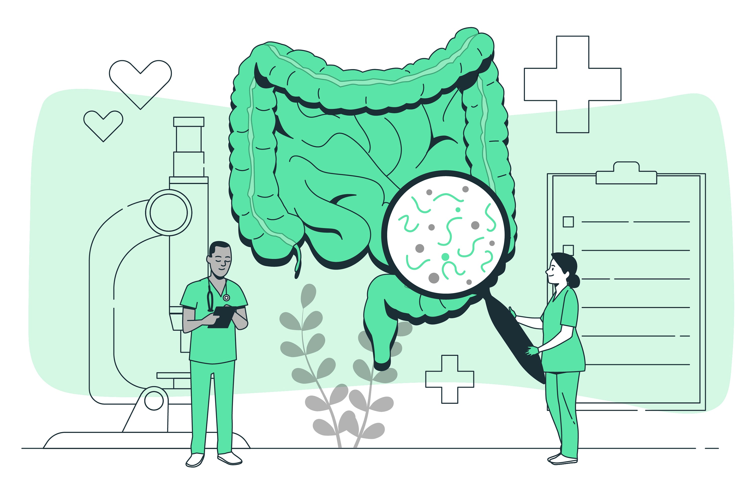 Signs Your Stomach Is Overrun with Bad Bacteria (And How to Fix It)