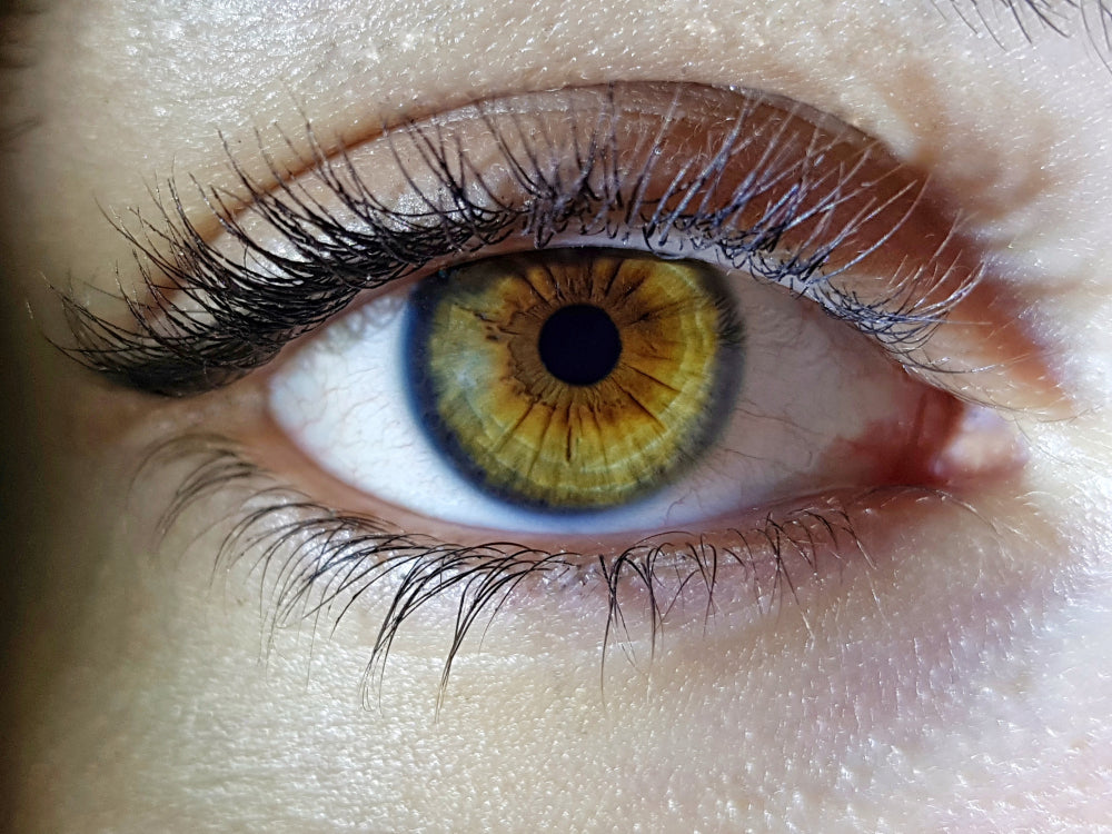 How Lutein Protects Your Eyes: Key Benefits You Need to Know