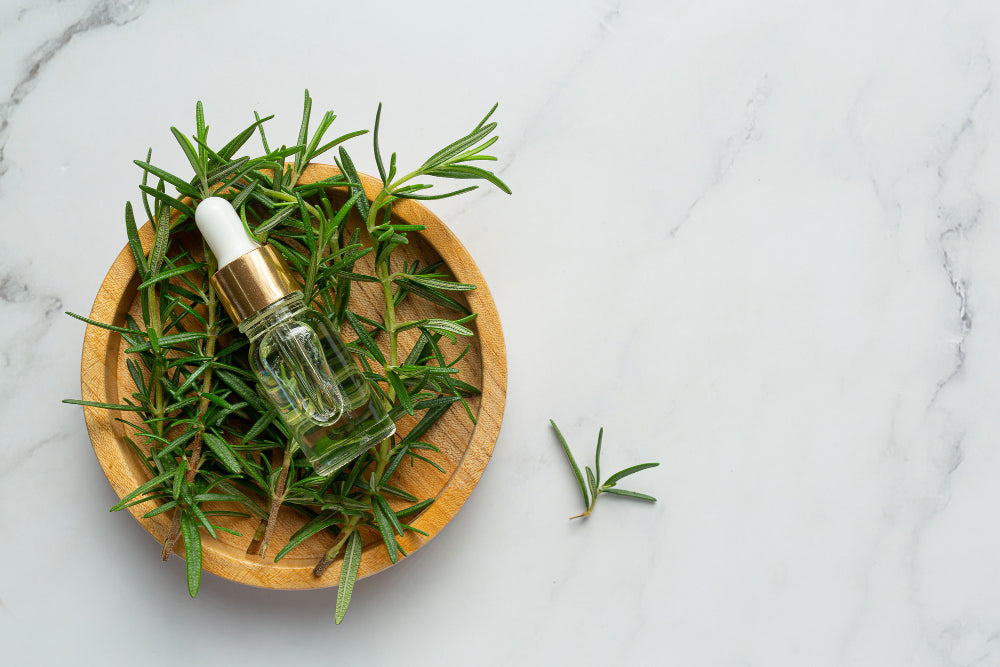 The Science of Rosemary: A Herbal for Better Health