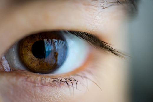 Bilberry for Eye Health and Vision Support: Nature’s Secret to Better Eyesight