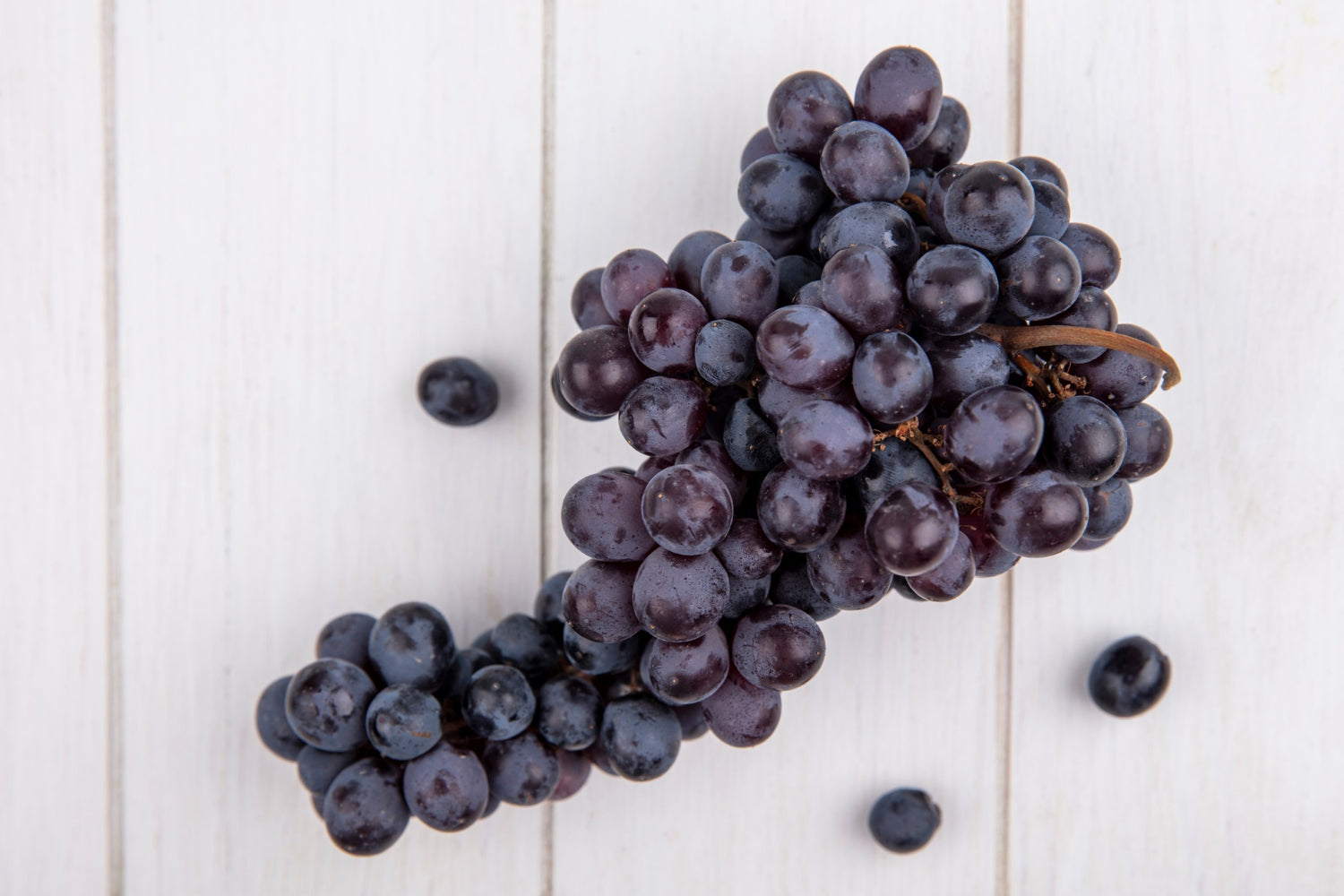 How Grape Seed Helps Brain and Memory