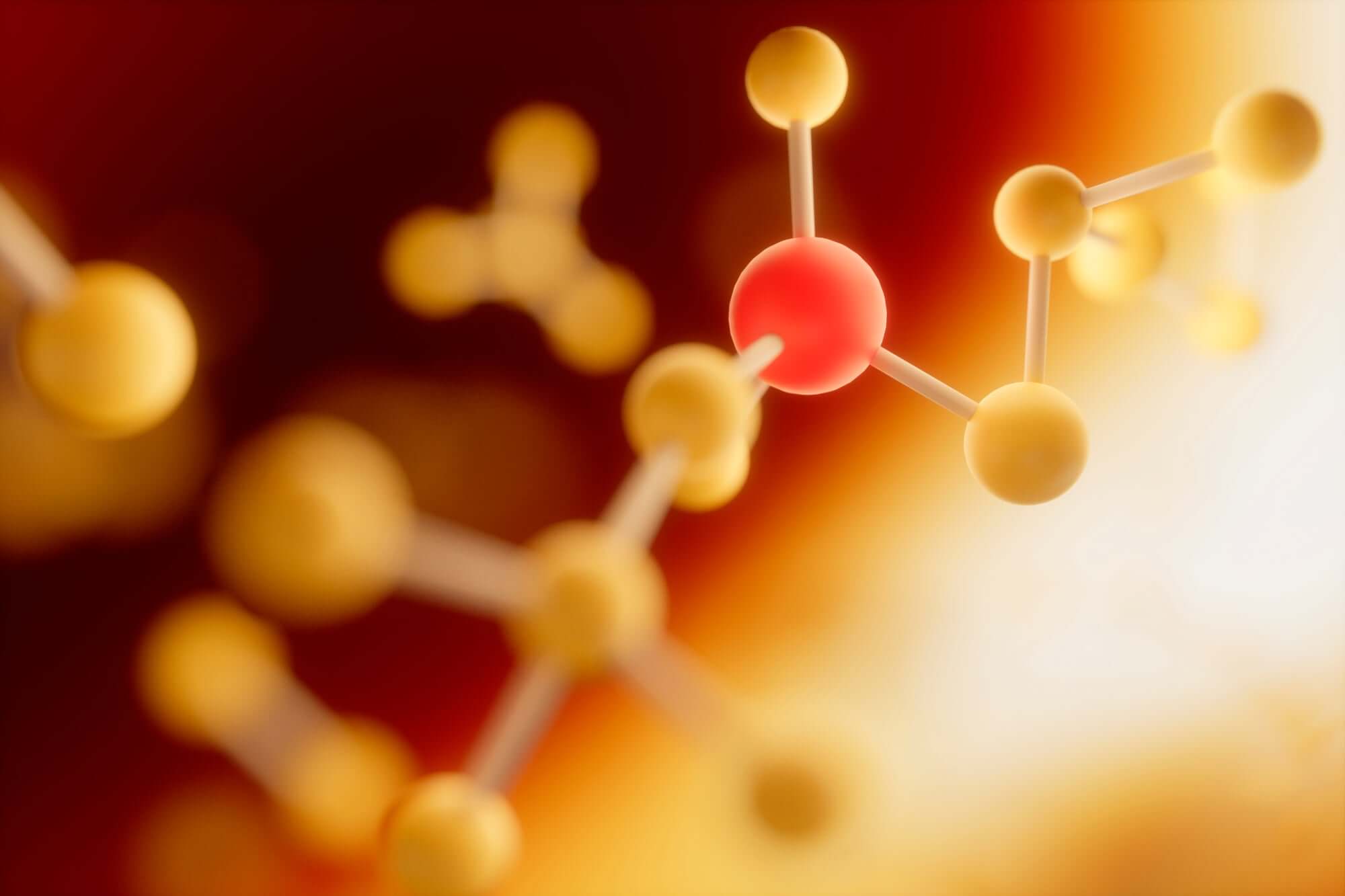 What Are Amino Acids?
