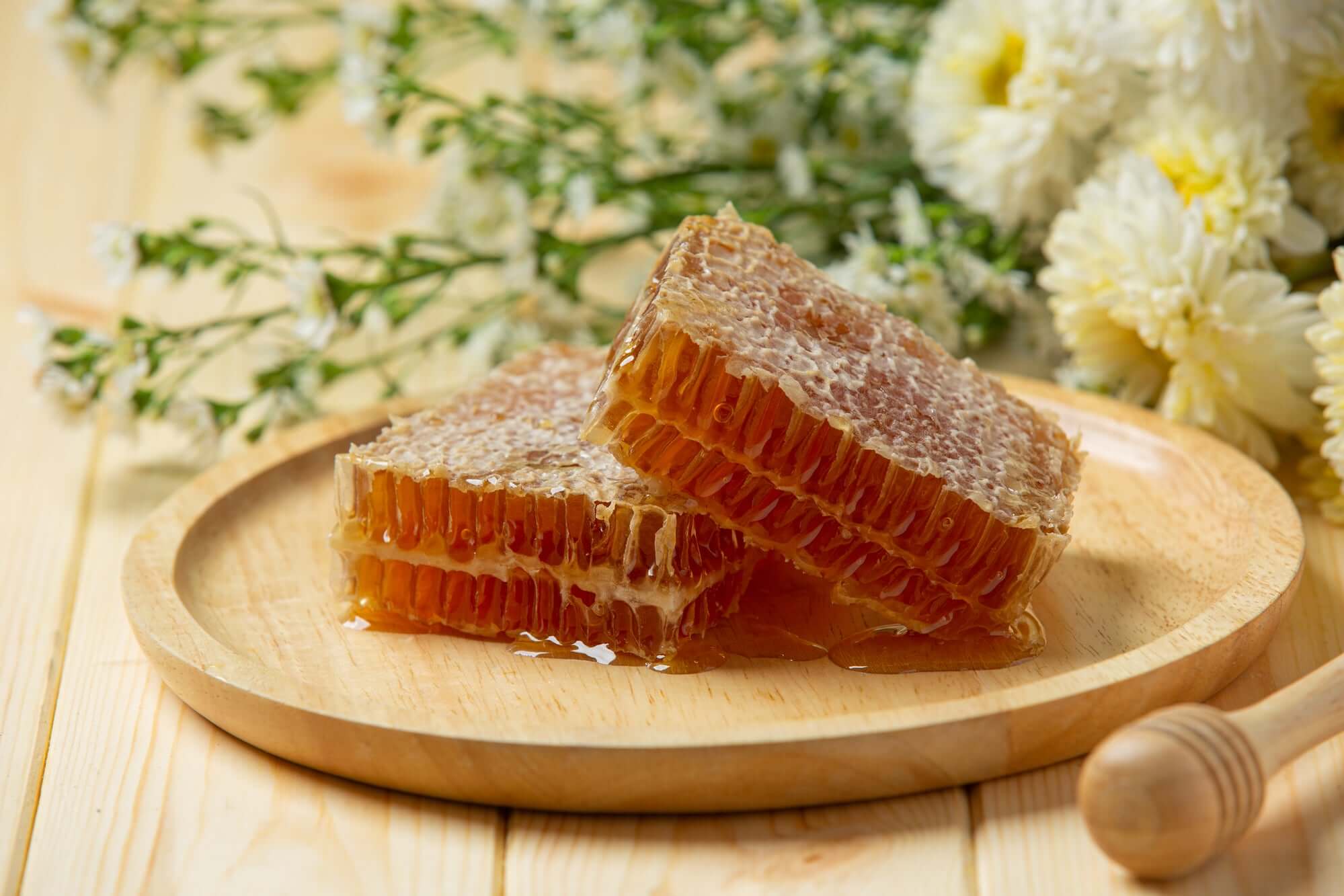 Honey Propolis - Nature's Treasure Trove of Health Benefits