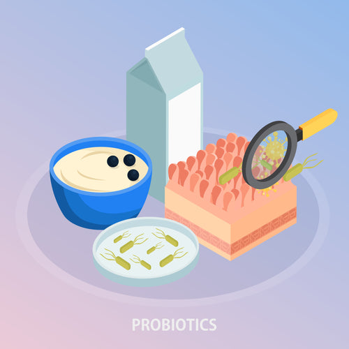 How Probiotics Can Help You Manage Food Intolerances