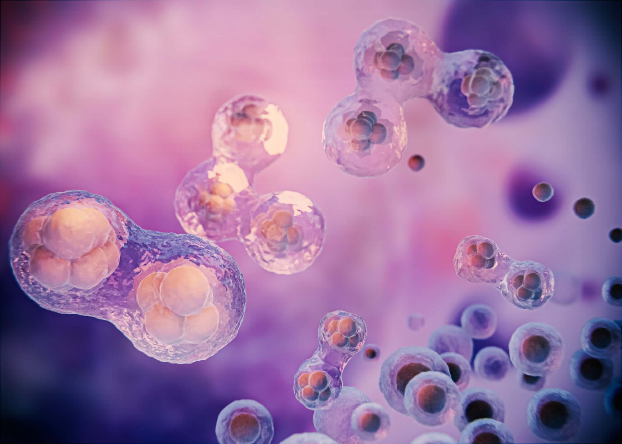 Understanding the Differences of Stem Cells and Collagen