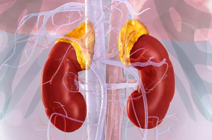 What Is Cushing Syndrome? A Comprehensive Guide to Symptoms and Causes