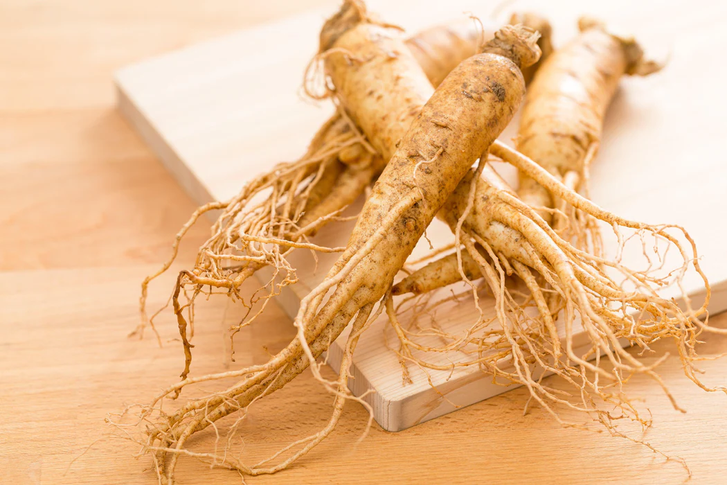 How Ginseng Extract Supports Spleen Function and Overall Health