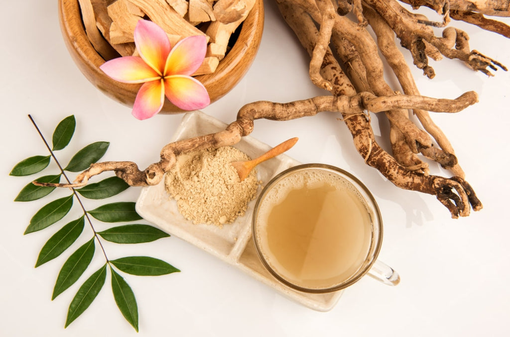 Khasiat dan Manfaat Tongkat Ali Untuk Kesihatan Lelaki