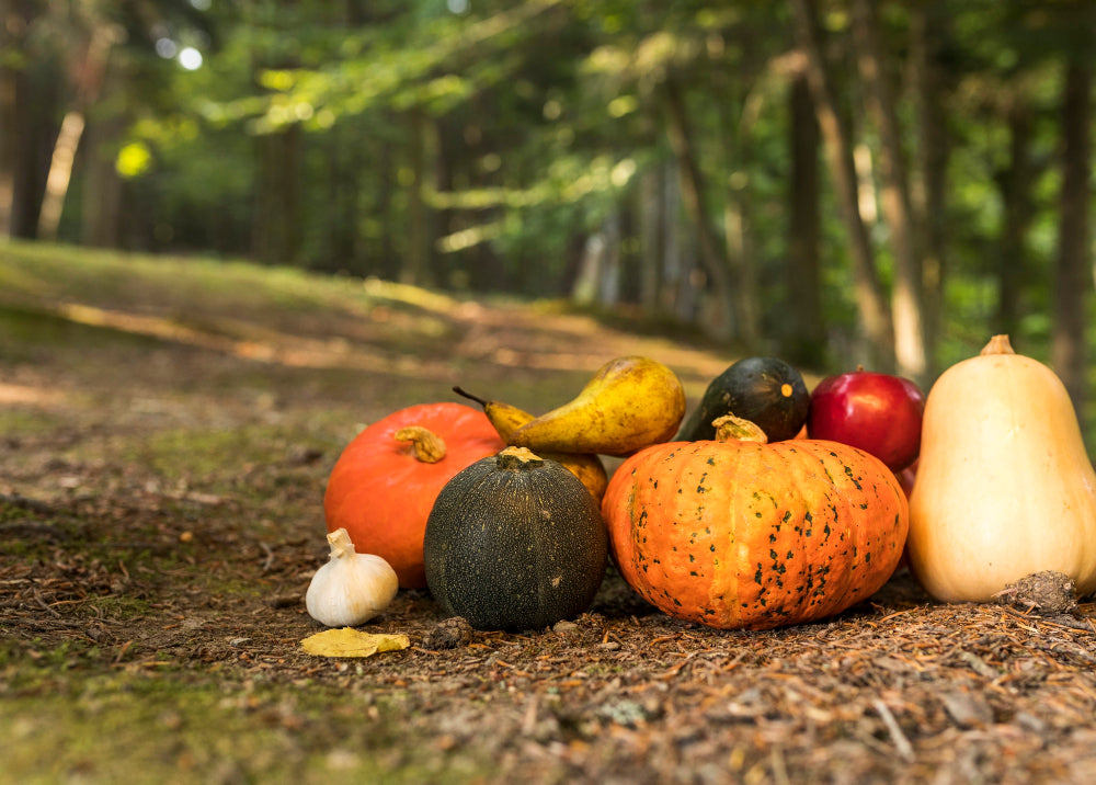 Pumpkin Seeds and Testosterone: What’s the Truth?