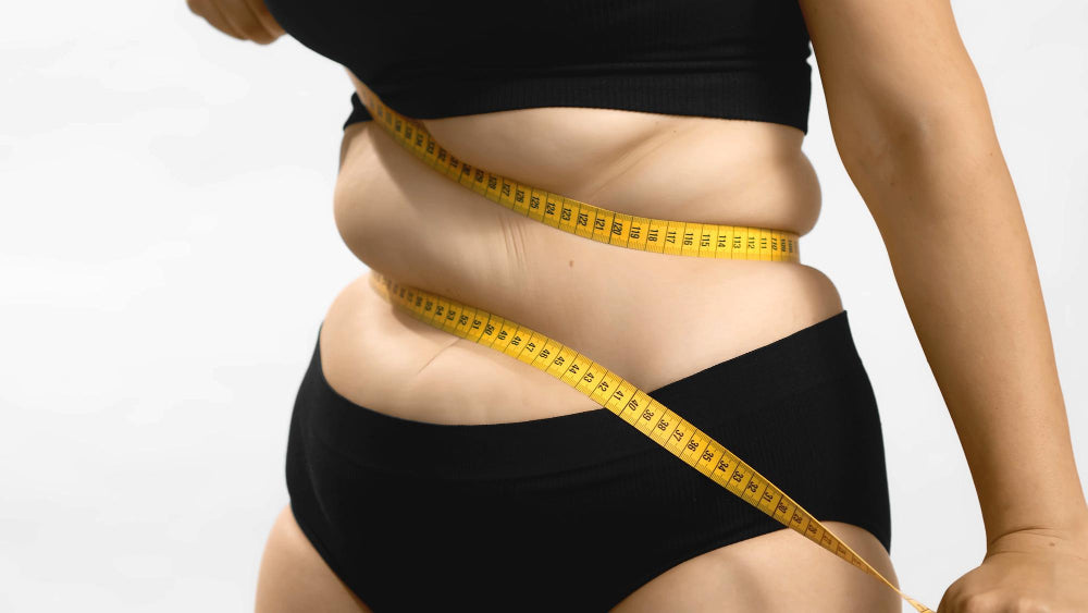 Milk Thistle and Belly Fat: What You Should Know