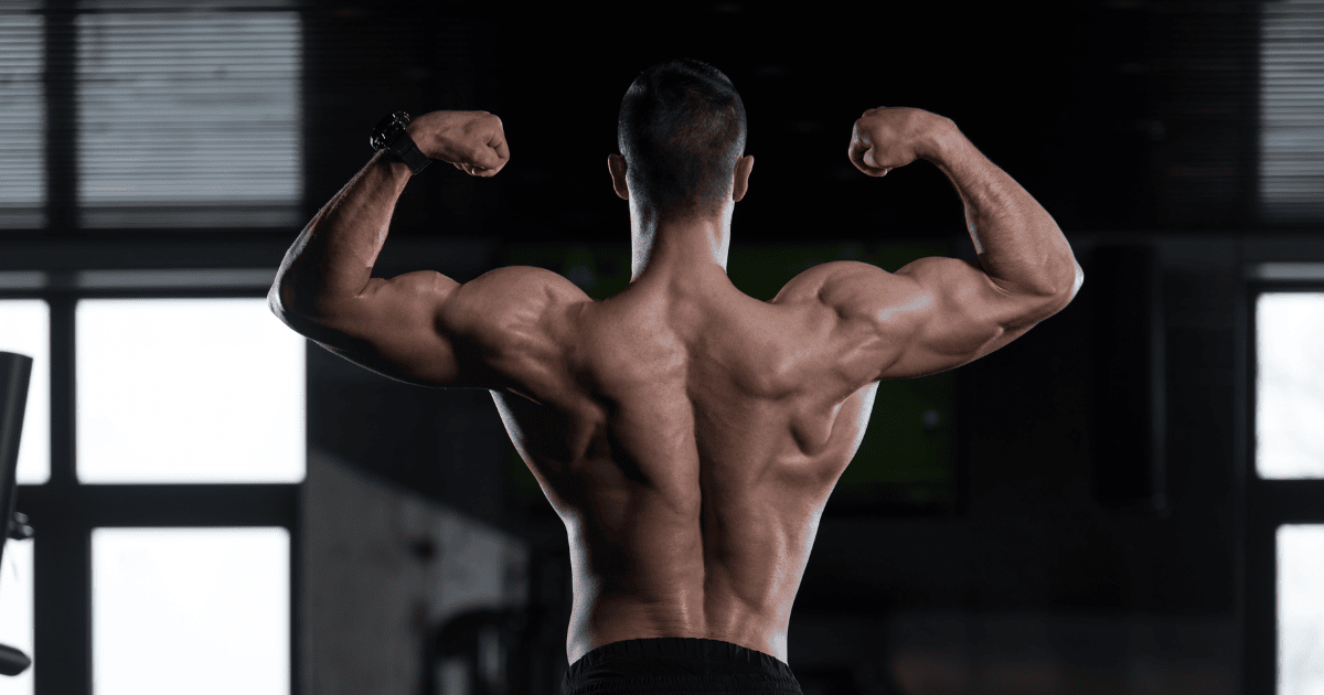 Does Creatine Make You Bulky or Just Stronger?
