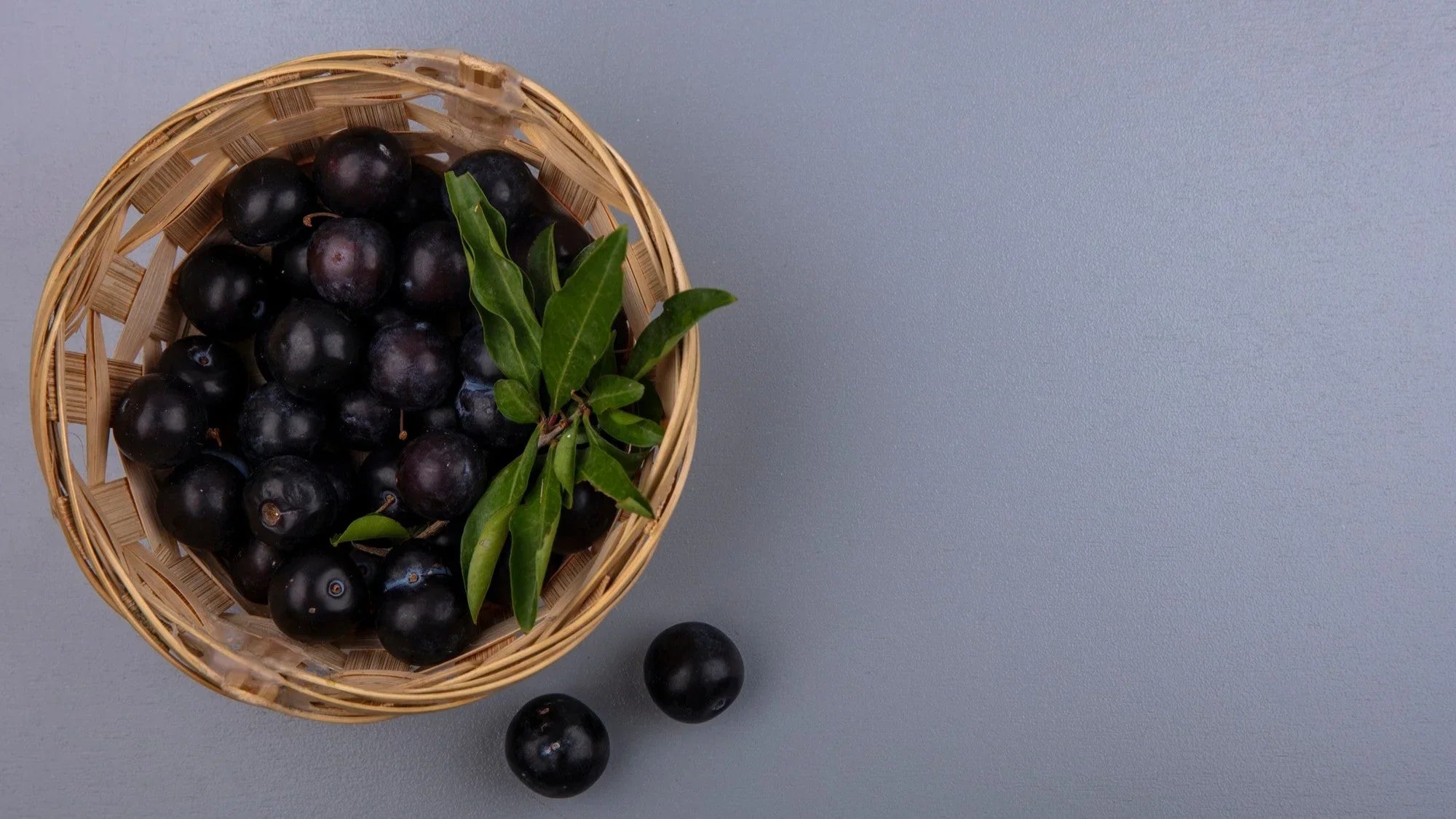 Acai Berry for Gut Health