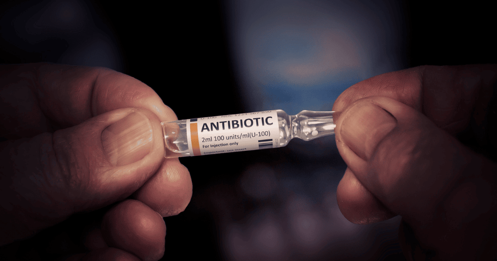 Antibiotics Wiped Out Your Gut? Here’s How to Fix It