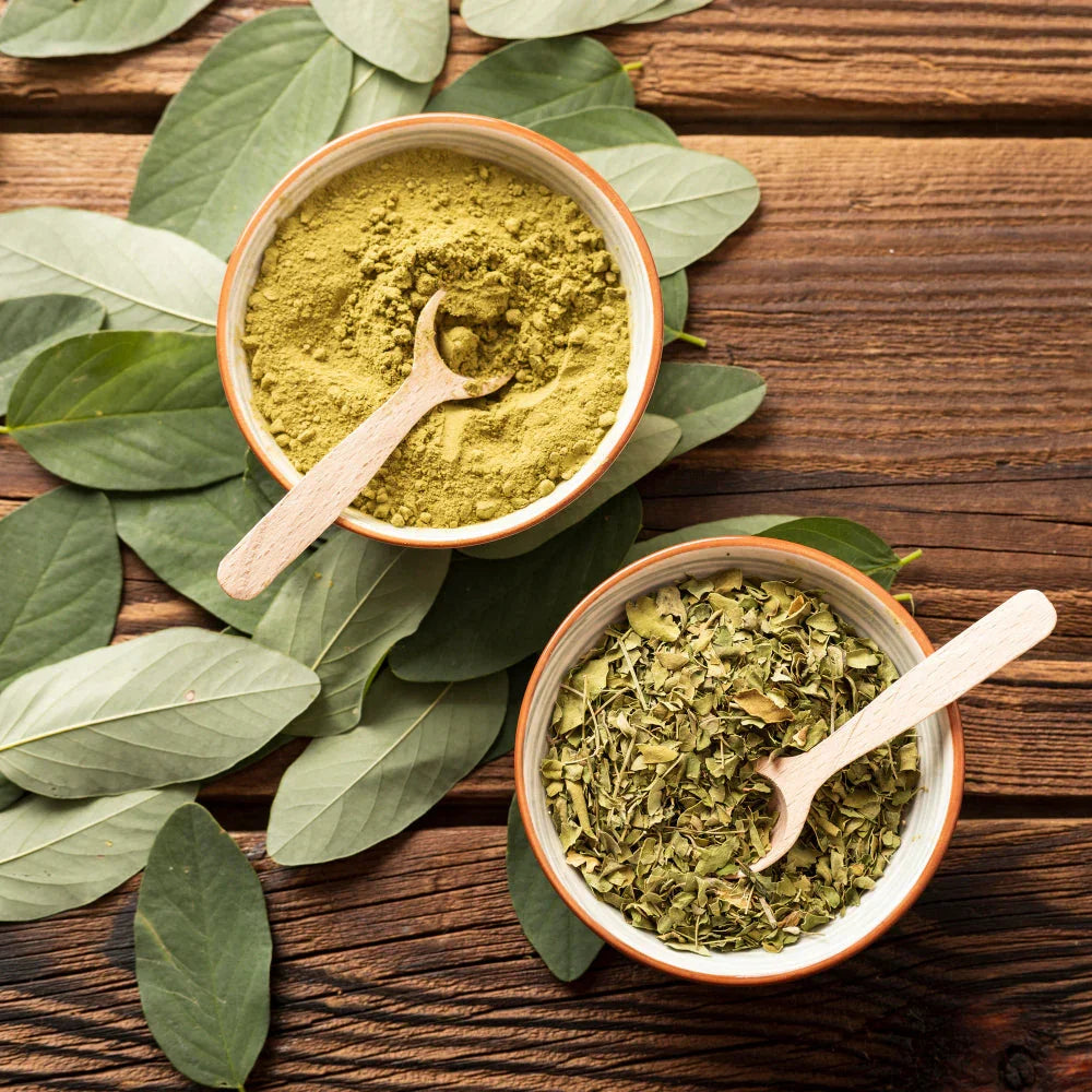 The Role of Moringa in Combating Anaemia