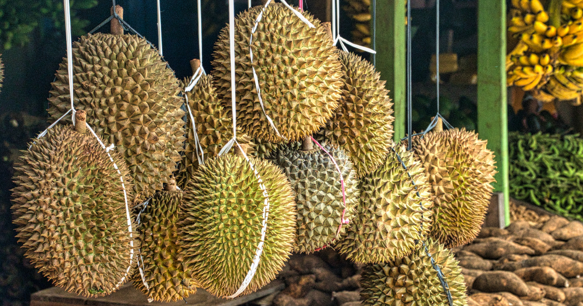 Durian: Guilty Pleasure or Unfairly Blamed?