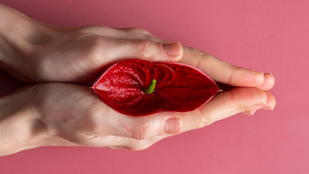 Myth vs Fact: Cranberry and Vaginal Health