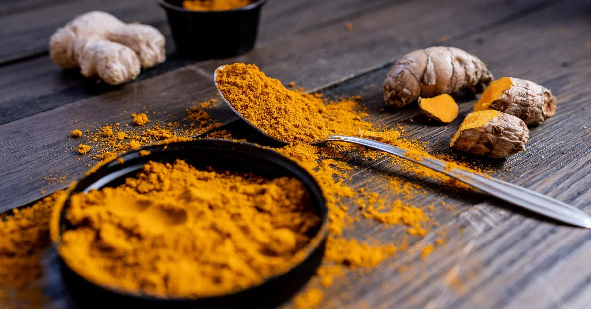 Why Curcuminoids Are Important In Turmeric