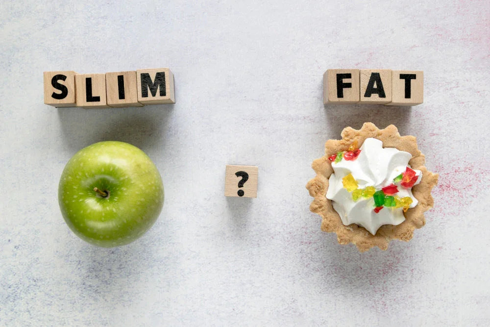 Nak Kurus Tapi Malas Kira Kalori? Guna Aplikasi Saja!