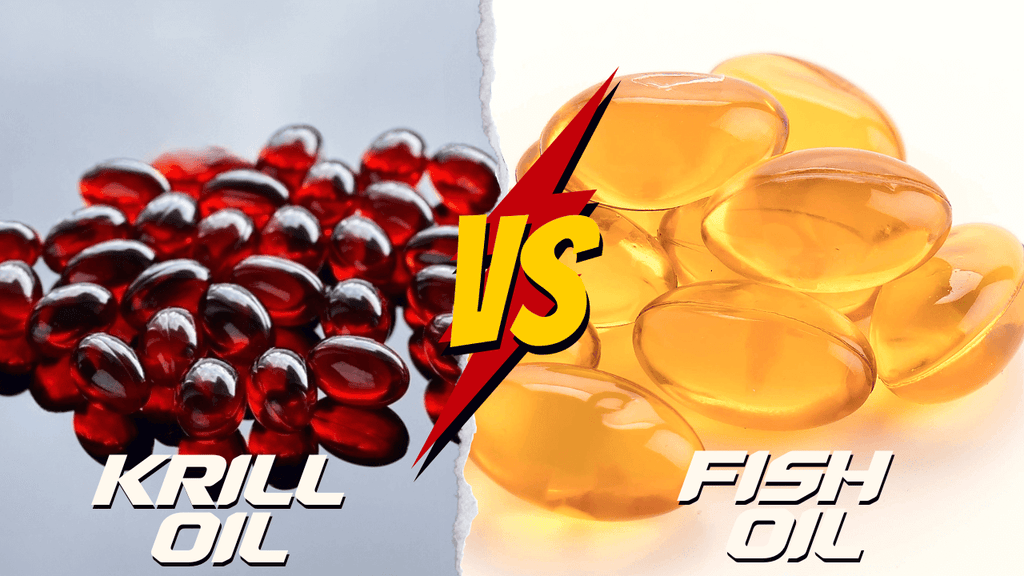 Fish Oil vs. Krill Oil: Which One Should You Choose?