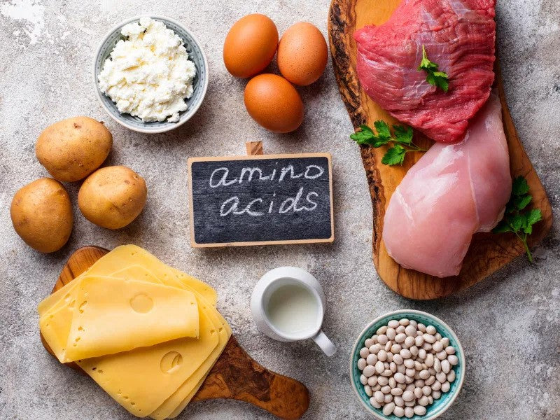 The 15 Essential Amino Acids for Your Body