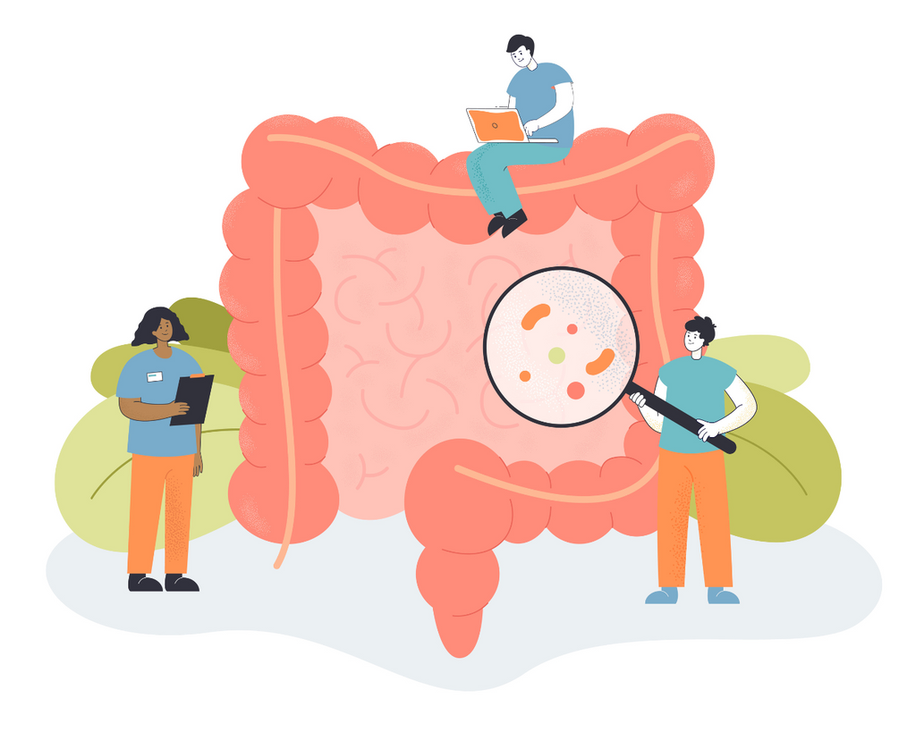 What is the Difference Between Probiotic and Digestive Enzymes?