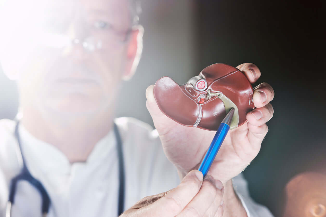 Understanding Gallbladder Stones: Causes, Health Impact, and Prevention
