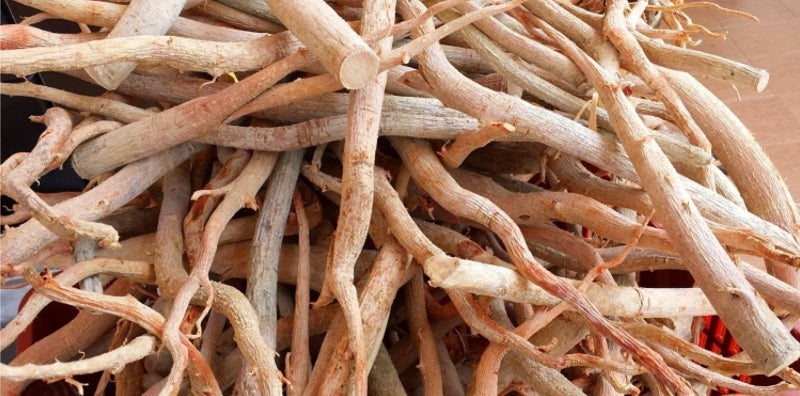 Top 5 Natural Herbs for Boosting Men’s Stamina, Energy, and Performance