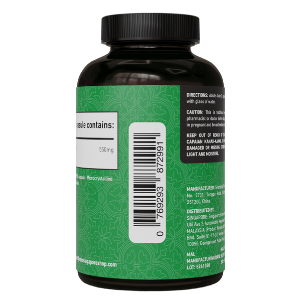 Moringa Fresh Leaf