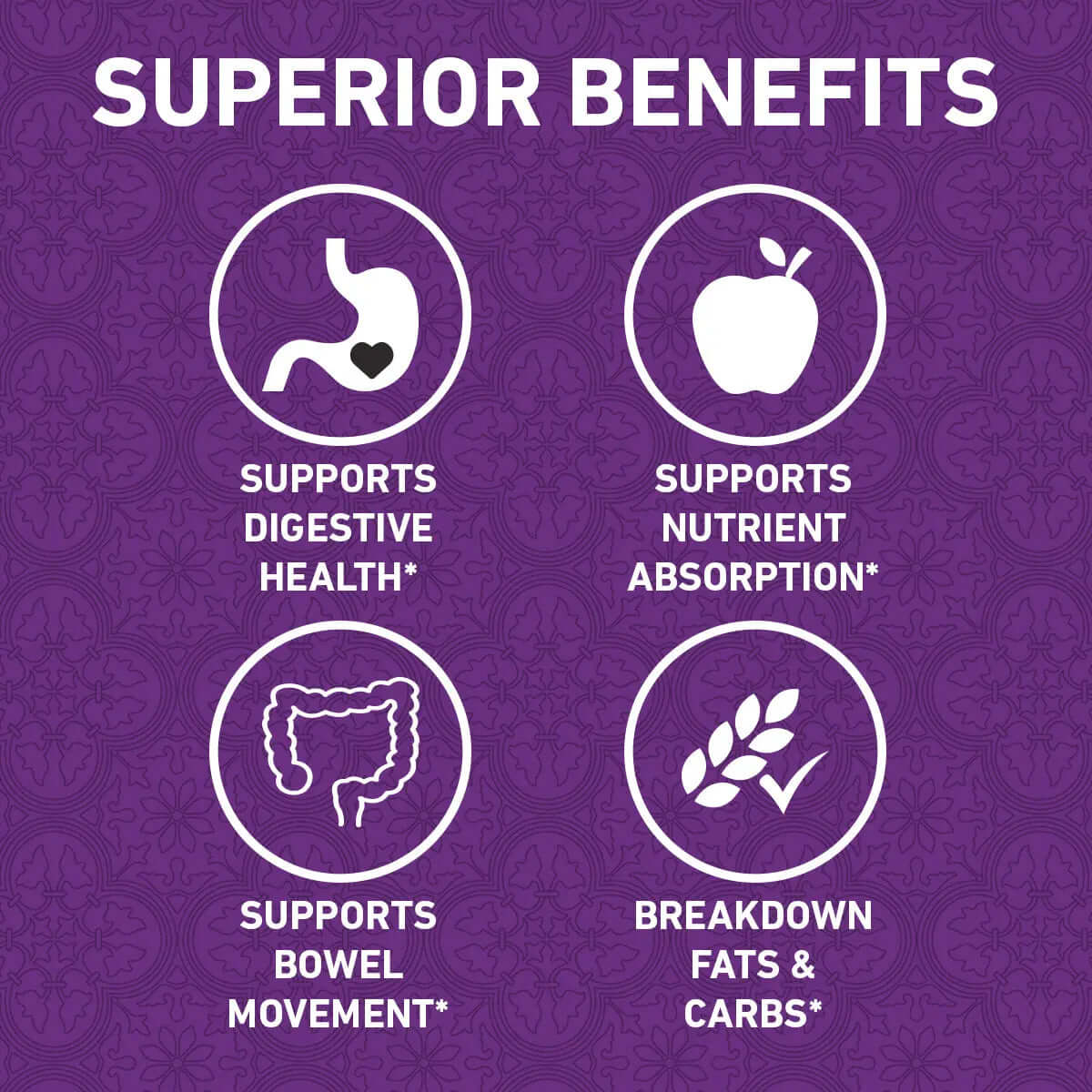 Digestive Enzymes Formula - 60 CT | Digestive Wellness Nano Singapore