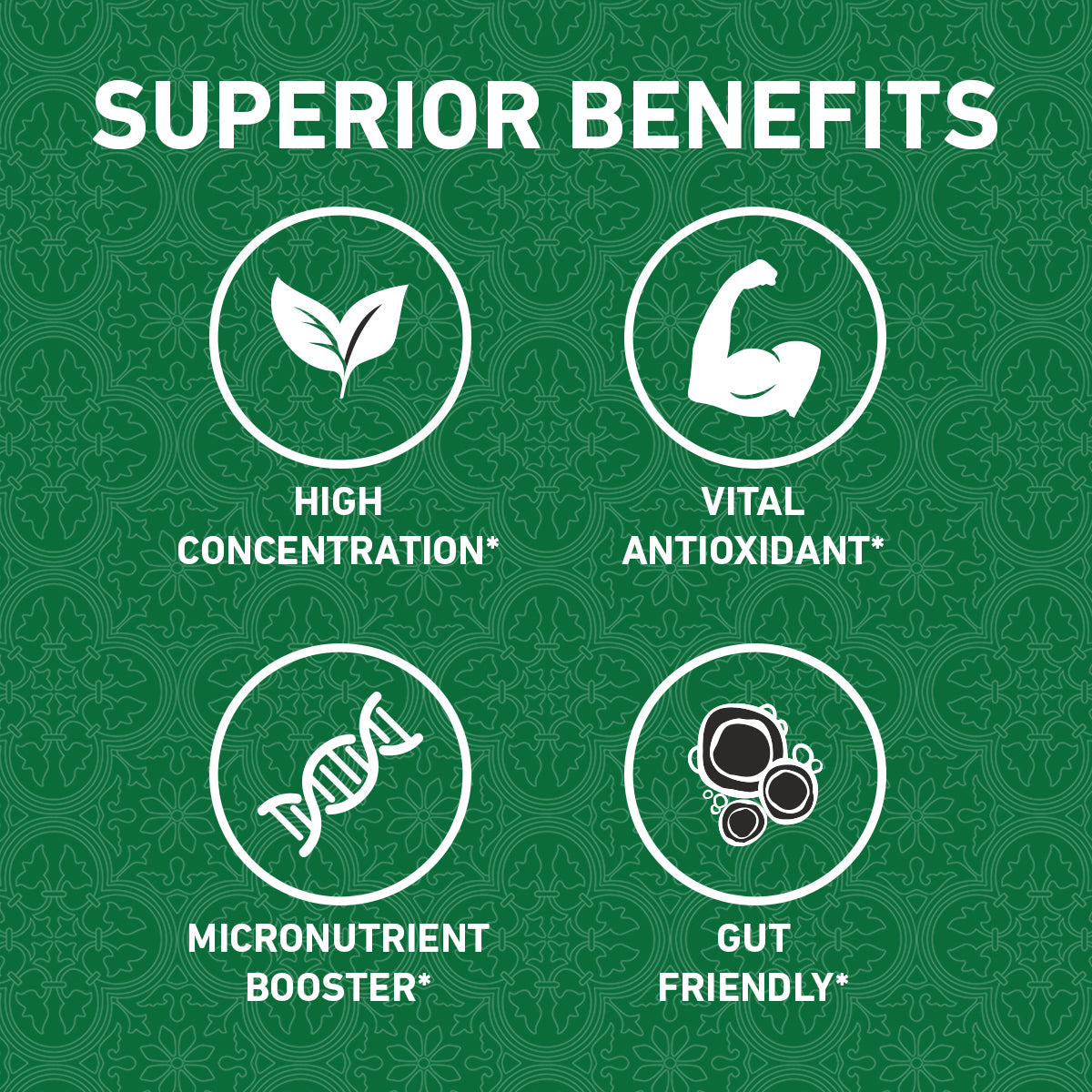 Moringa Fresh Leaf