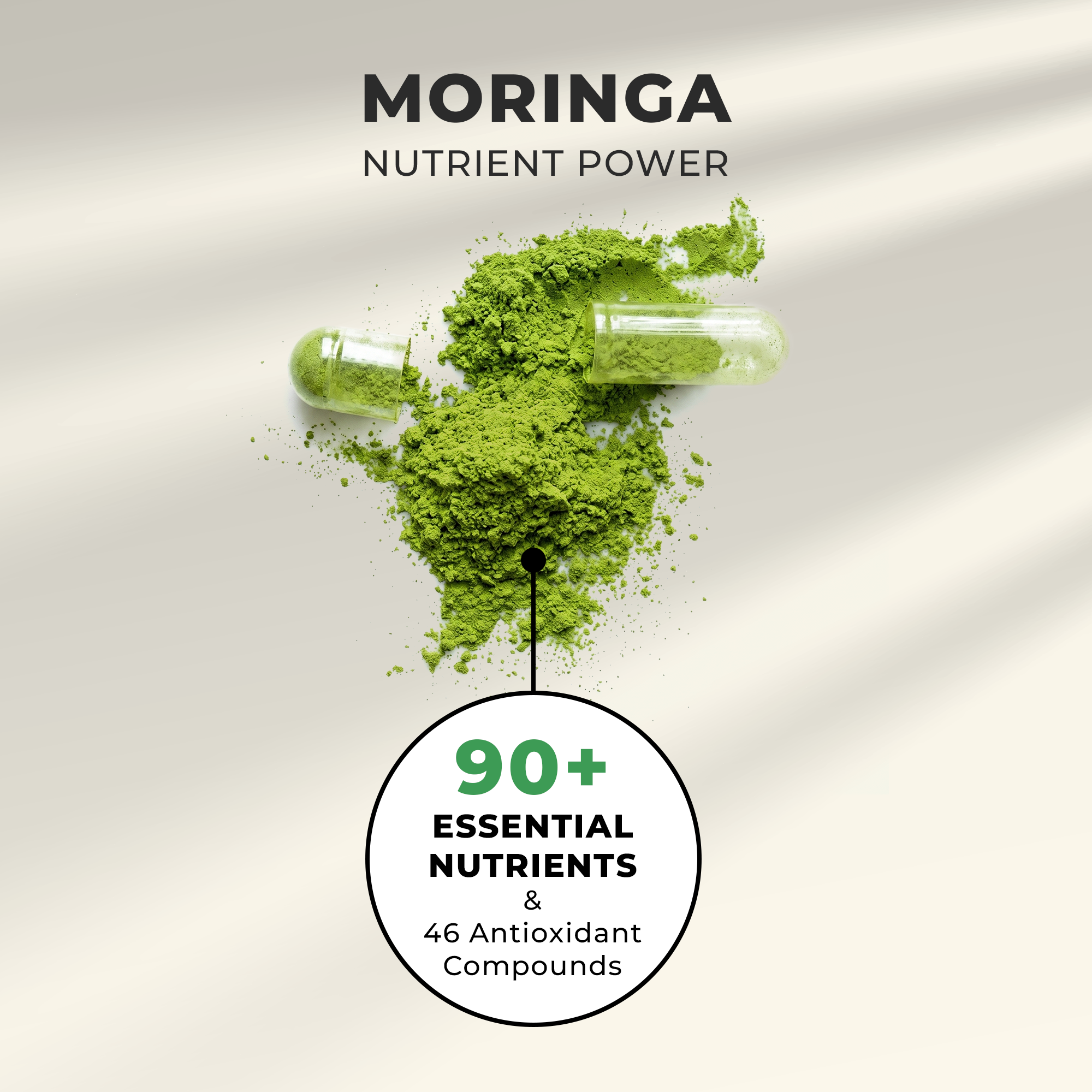 Moringa Leaf 550MG