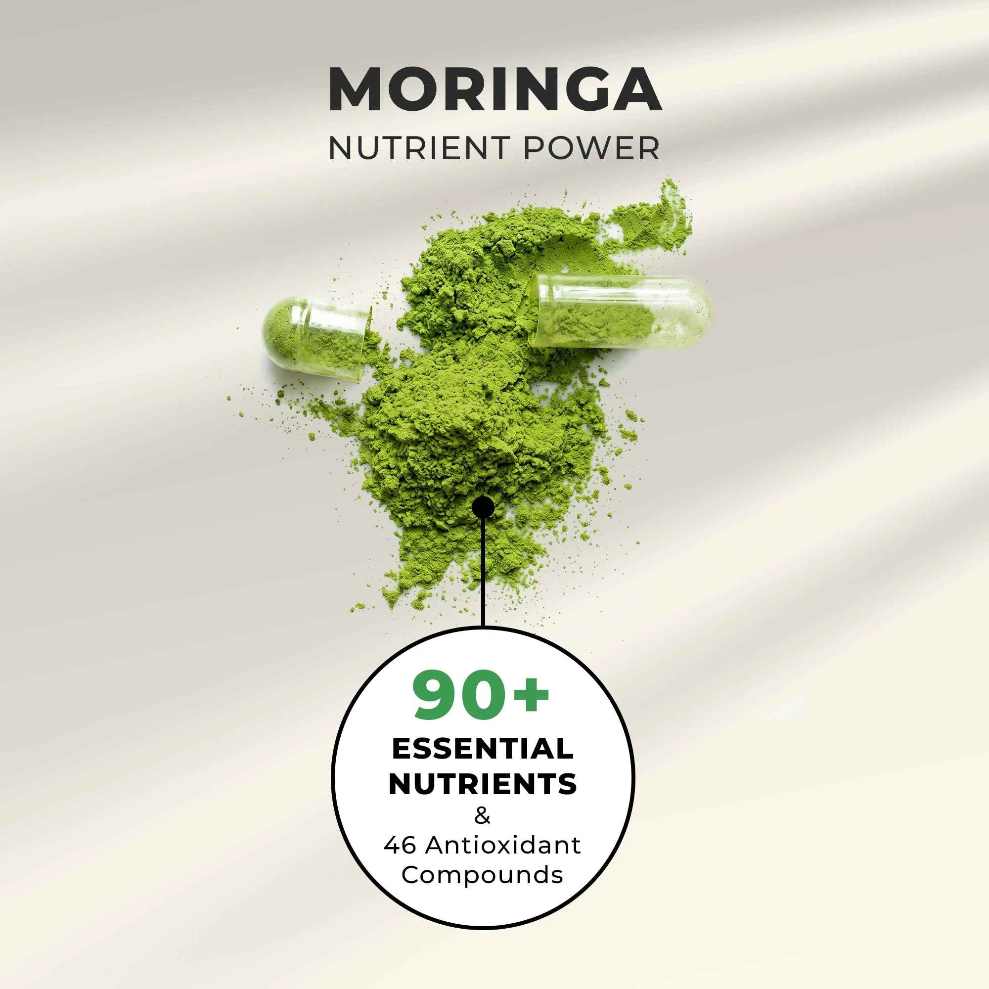 Moringa Leaf 550MG